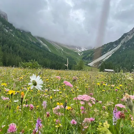 Colrosa Berendsen 7 Brand (Vorarlberg)