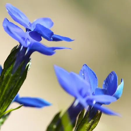 アパート Colrosa Berendsen 7 *