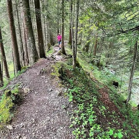 Colrosa Berendsen 7 Appartement