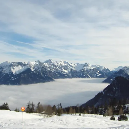 Colrosa Berendsen 7 ブラント