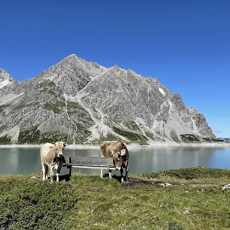 アパート Colrosa Berendsen 7 ブラント