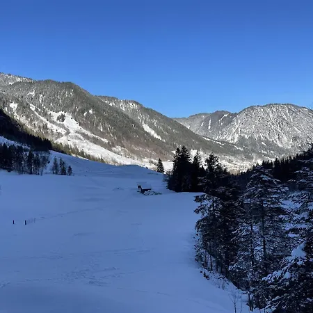 Colrosa Berendsen 7 アパート ブラント